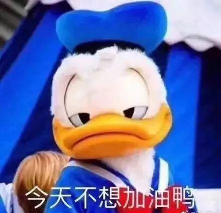 吃瓜表情包鸭子,揭秘鸭嘴下的娱乐圈风云