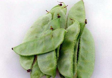 吃瓜补钙,揭秘日常饮食中的钙质宝藏