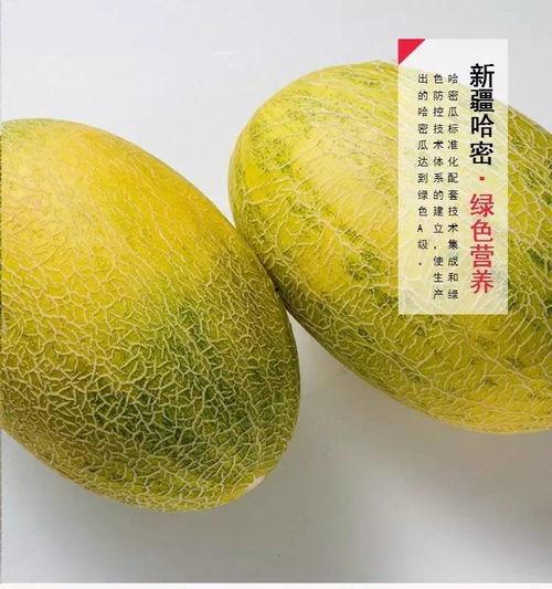 哈密瓜新疆吃,甜蜜诱惑，西域珍果的味蕾之旅