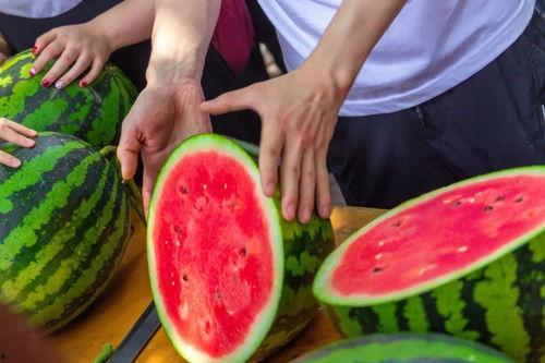 武汉的大学吃瓜