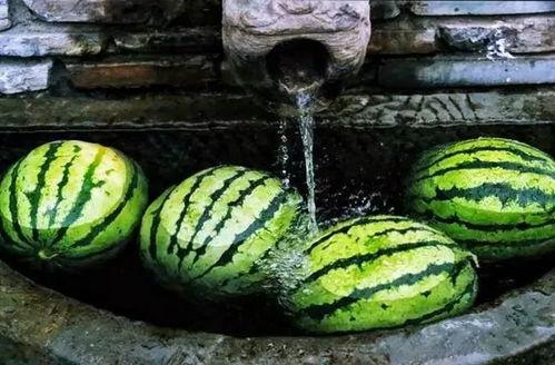 吃瓜等瓜,揭秘吃瓜群众的趣味生活