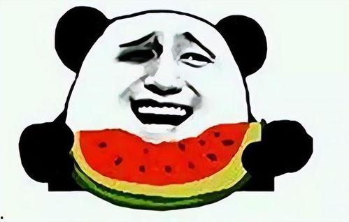 吃瓜里的奇葩,揭秘网络热点的背后真相