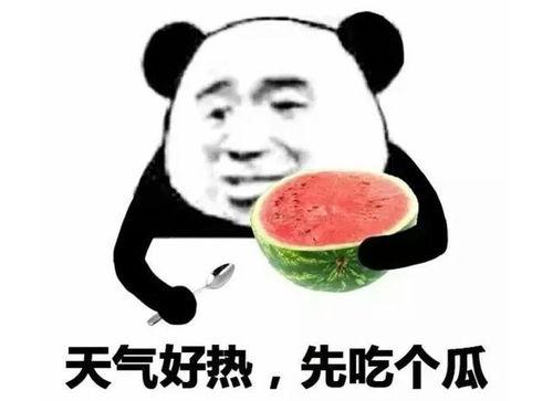 无聊吃瓜表情包,揭秘网络时代的“无聊”生活态度