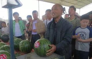 石佛寺吃瓜群众,揭秘民间热点背后的故事